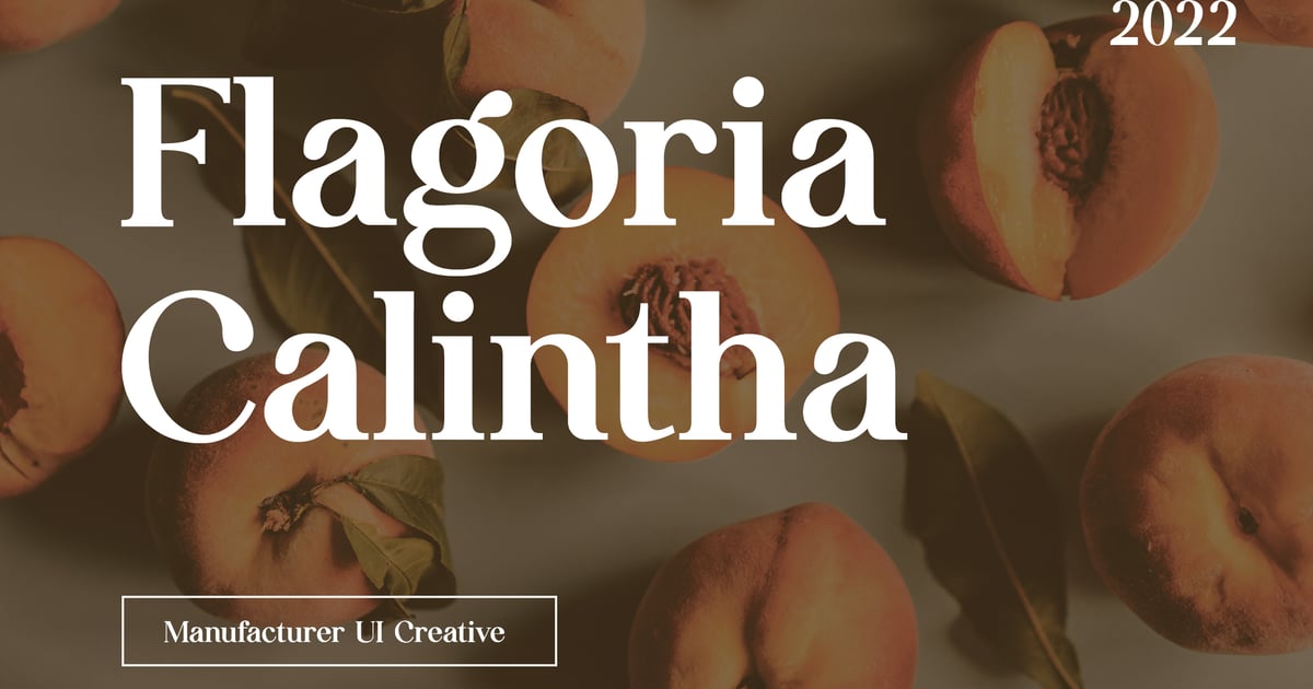 Bold Serif Font Bold Serif