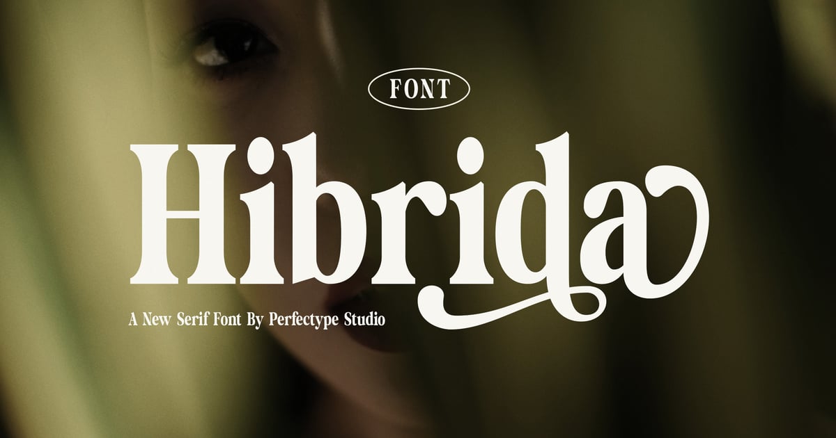 Hibrida Bold Serif Font