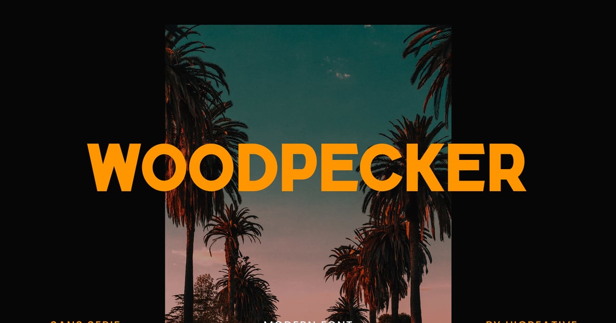Modern Sans Serif Font Modern Sans Serif