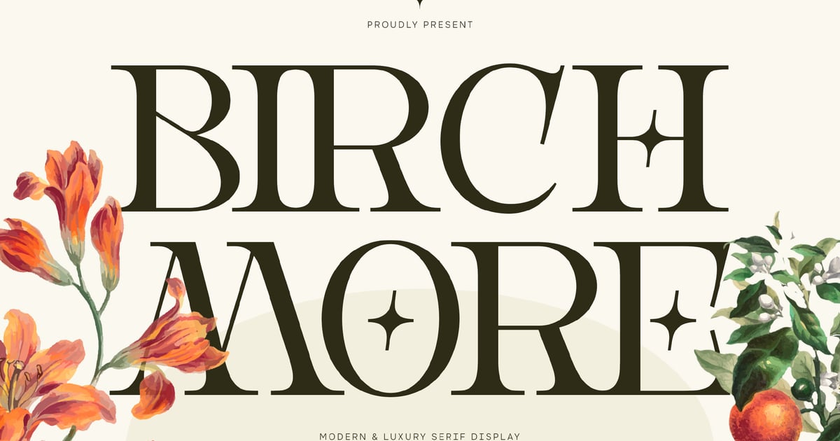 Modern Serif Display Font - Birchmore