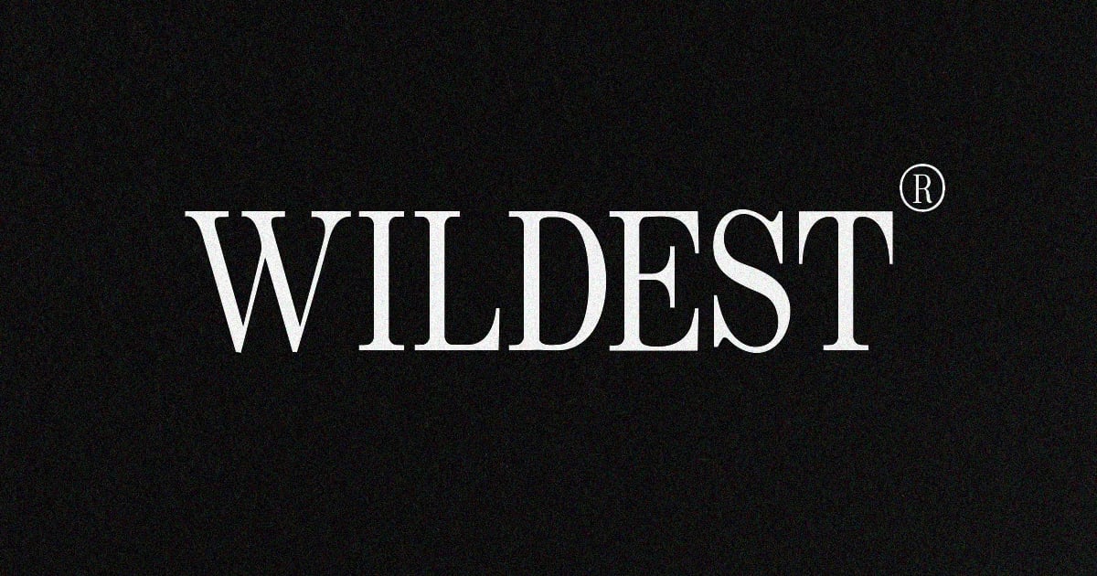 Wildest - Classical Serif